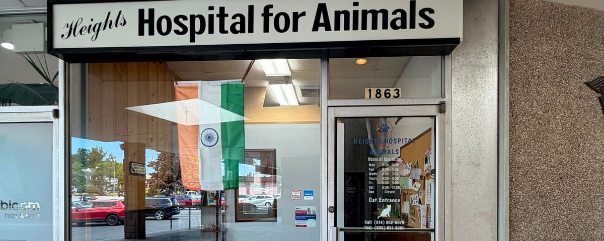 The separate cat entrance at Heights Hospital for Animals in Yorktown Heights