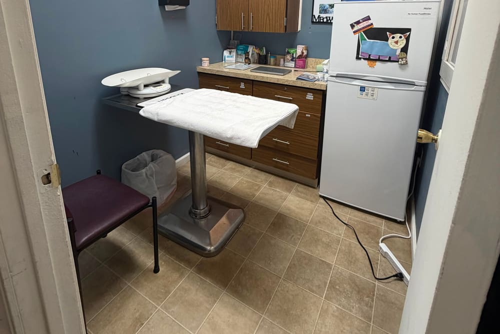 The cat-only exam room at Heights Hospital for Animals, with a towel on the exam table and a scale