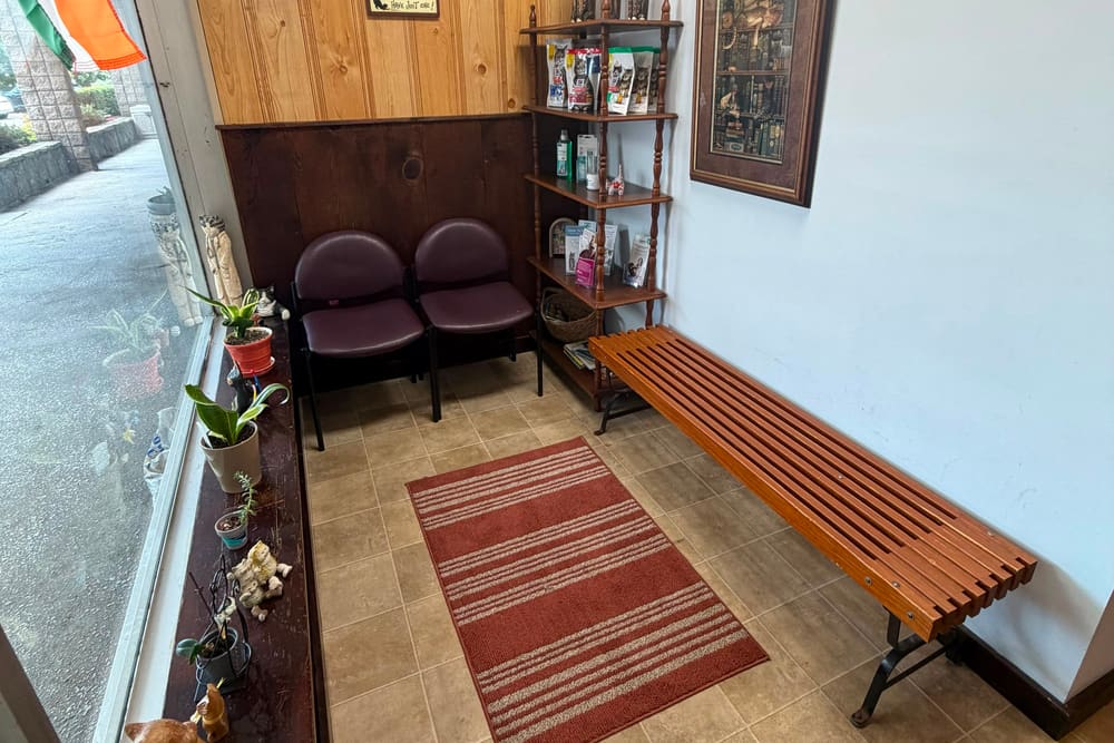 The cat-only waiting room at Heights Hospital for Animals, with its own seating and bench, separate from the dog lobby