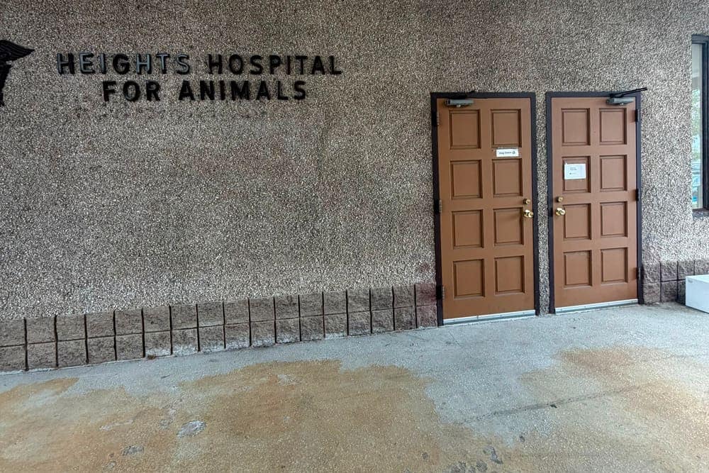 The dog entrance doors at Heights Hospital for Animals, separate from the cat entrance
