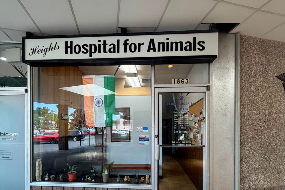 The Heights Hospital for Animals storefront on Commerce Street in Yorktown Heights