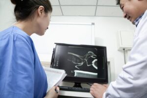 Veterinary team reviewing digital x-ray on computer monitor