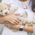 Person cradling small cream-colored fluffy puppy outdoors