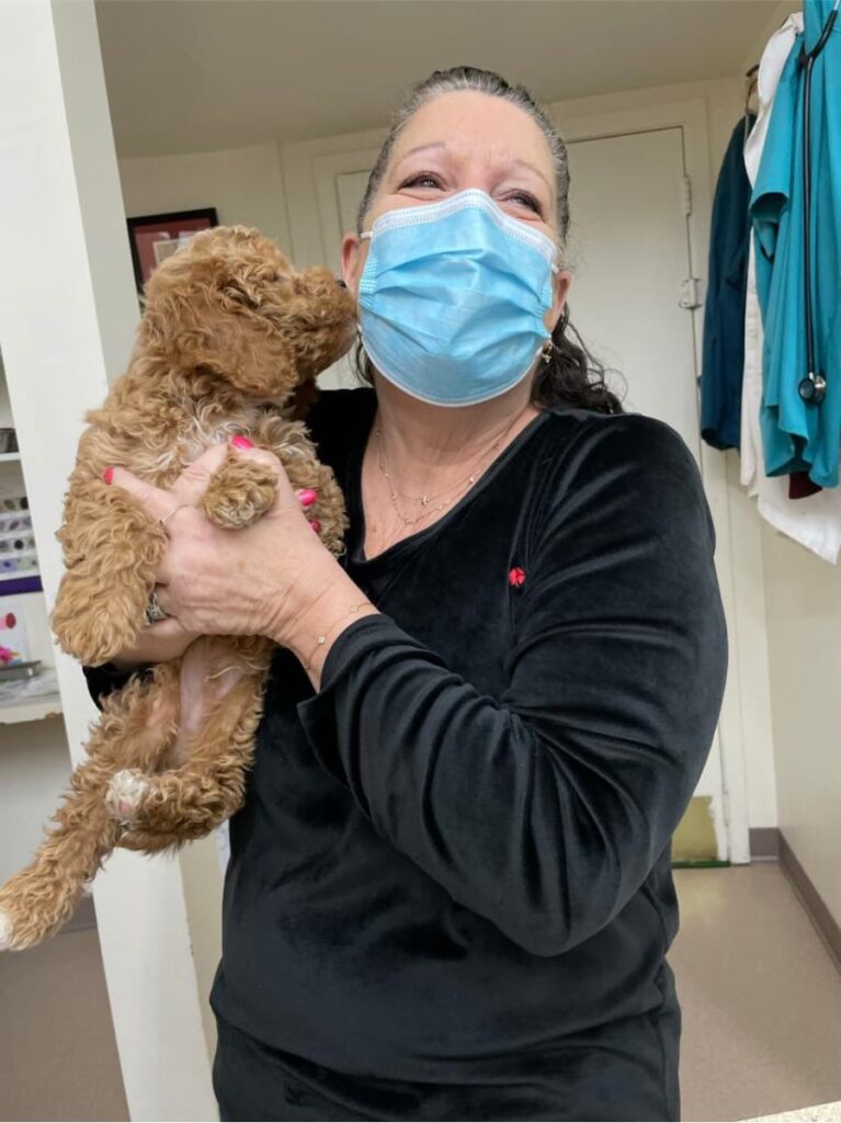 Staff Member in black holding small tan curly puppy