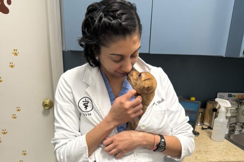 Dr. Modi in white coat gently holding tan puppy