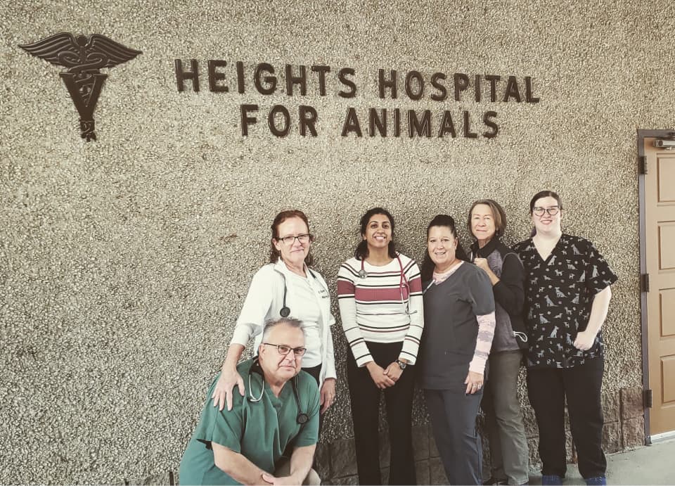 Six veterinary staff members posing in front of hospital sign