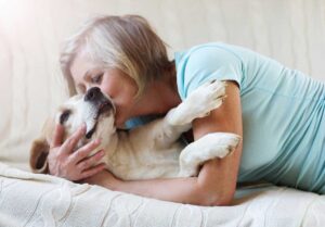 Woman tenderly comforting elderly yellow Labrador on bed